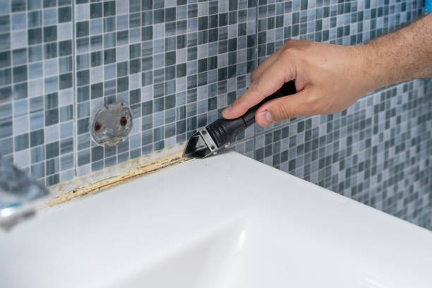 Best Certified Mold Removal  in Thatcher, AZ