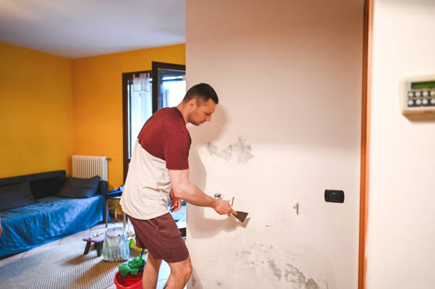 Professional Mold Removal in Thatcher, AZ